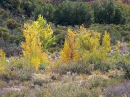 2008Fallcolors-43